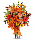 Burst of Autumn  from Clifford's where roses are our specialty